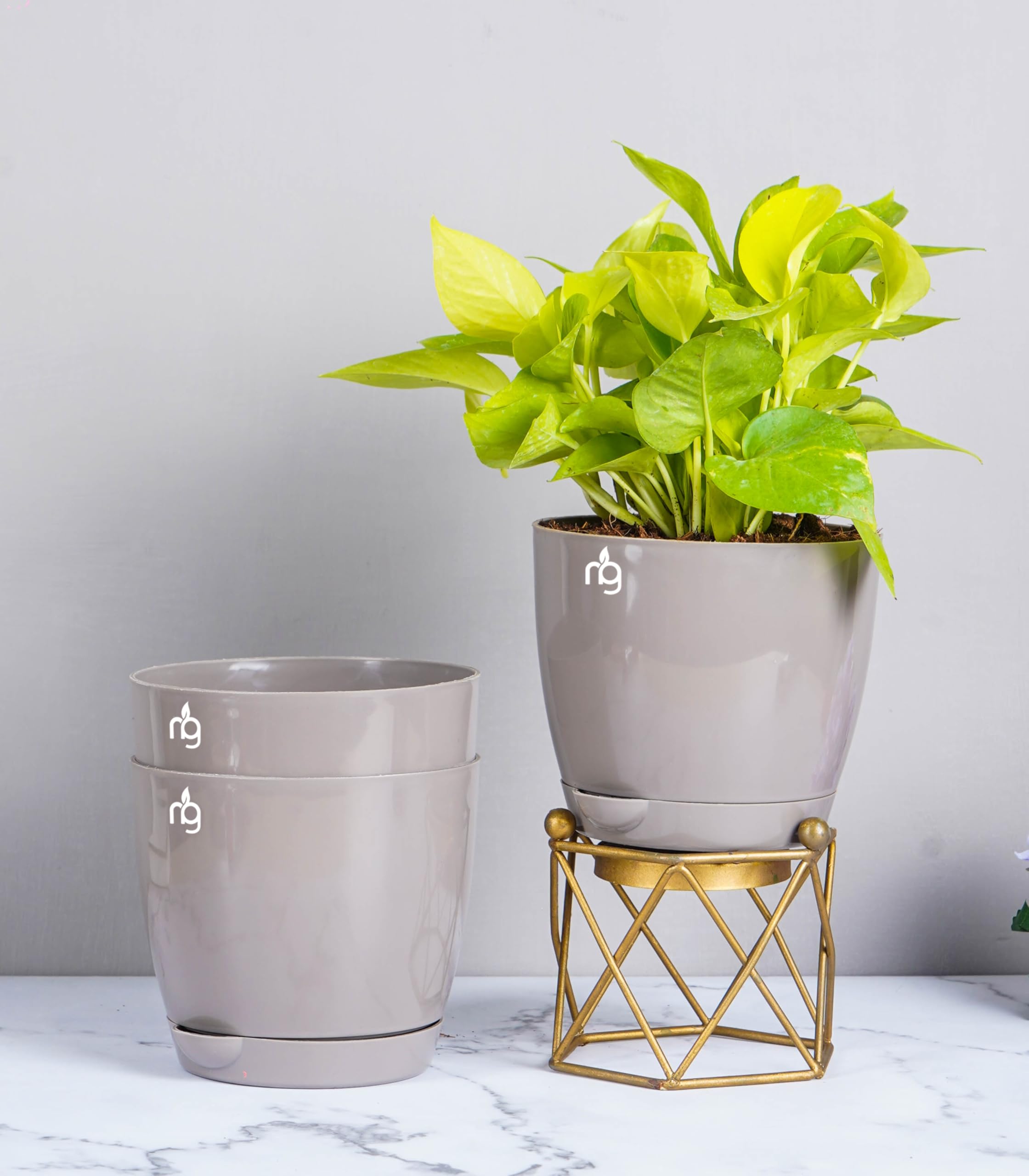 Nurturing Green® Combo of 3 Mocha Self Watering Pots for Plants | Plastic Pot for Plants | Plant Pots for Indoor & Garden Decor (5.5 Inch Wide*5 Inch High) - [Plants are not Included] (B0BGWWK174) Amazon Price History, Amazon Price Tracker