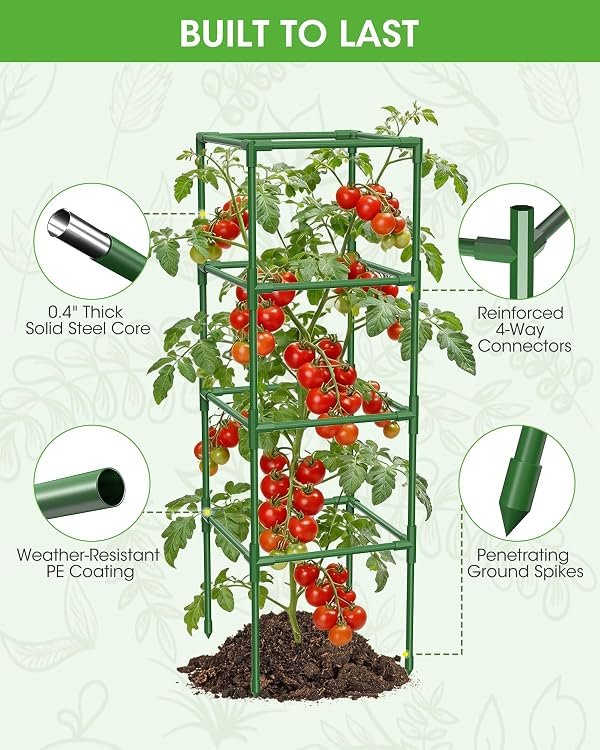 MQHUAYU 3 Pack Tomato Cages,Square Tomato Plant Stakes Support Cages Trellis for Garden Climbing Vegetables Flowers Fruits,Extra Bold by MQHUAYU - Used condition - Image 6