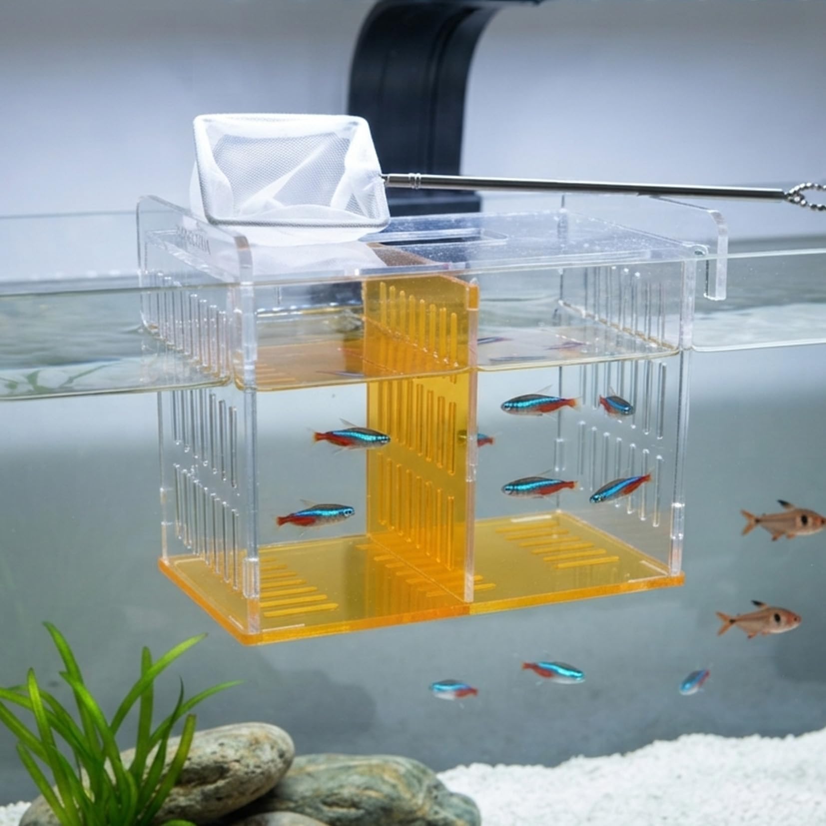 Fischzüchterbox für Aquarium, Acryl-Brutkasten mit langem Griff Netz – Zucht- und Isolationsbox für Babyfische, Garnelen, Betta Guppy, Tankteiler (Orange, 22,9 x 13,5 x 17 cm)