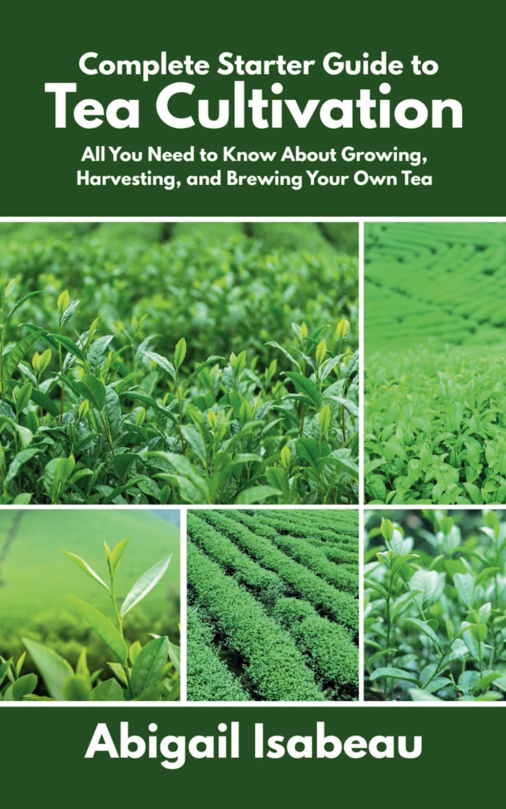 Complete Starter Guide to Tea Cultivation: All You Need to Know About Growing, Harvesting, and Brewing Your Own Tea