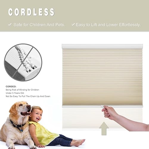 Miniatura 2 de Changshade Persianas celulares sin cables, filtrantes de luz, de 1.5 pulgadas, con aislamiento térmico, bloqueo de calor, plisadas para el hogar