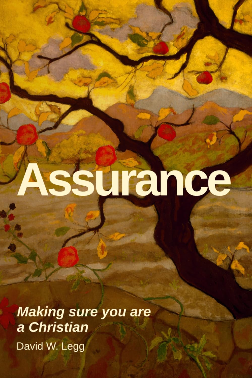 Assurance: Making sure you are a Christian (Biblical Studies)