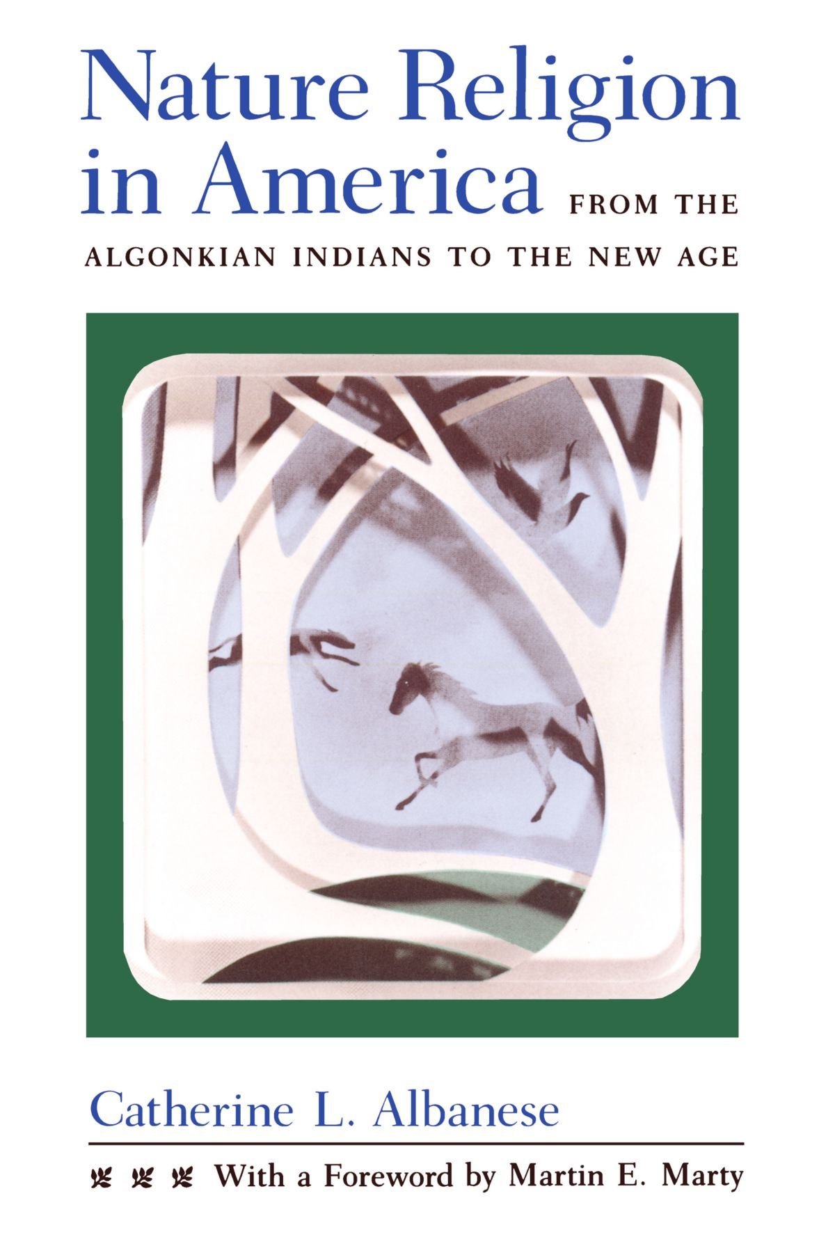 Nature Religion in America: From the Algonkian Indians to the New Age (Chicago History of American Religion)