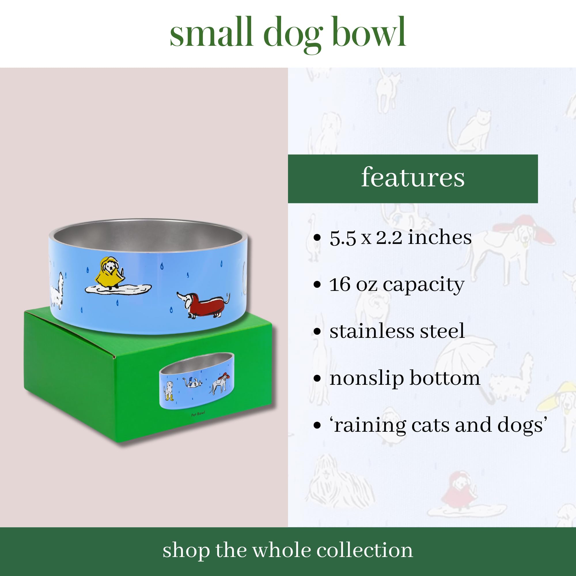 Kate Spade New York Plato para Perros para Comida y Agua, Cuenco de Acero Inoxidable con Base Antideslizante, Capacidad de 2 Tazas (16 onzas), Cuenco pequeño y Mediano para Mascotas, para Perros