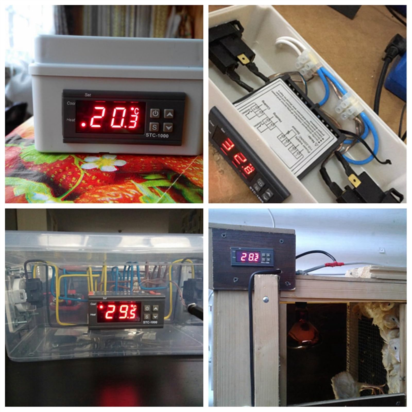 STC-1000 Led Termostato Digitale Regolatore di Temperatura AC 110V 220V 10A Due Relè con Riscaldatore(Kt1000 12v)