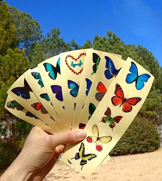 Premium Butterfly Stickers | Decals