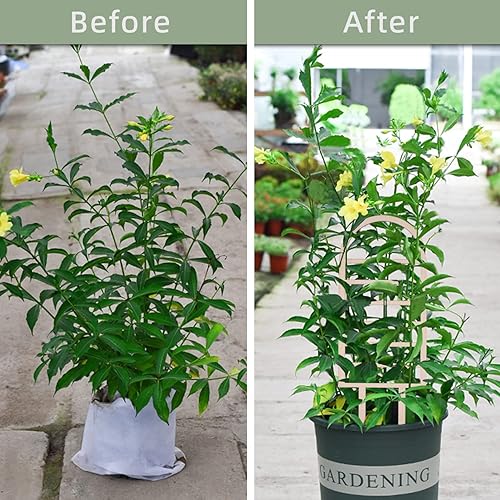 Miniatura 3 de 2 paquetes de enrejado para plantas de interior, enrejado de madera con forma de arco iris para plantas trepadoras, madera de interior, soporte para