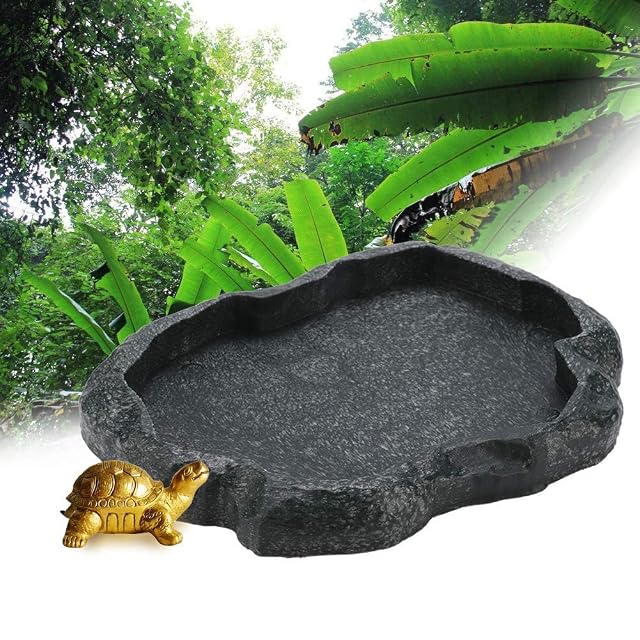 Foto 7 de 8 de Reptil Rock Food Water Dish Alimentador de reptiles duradero Bowl Alimentador de mascotas duradero…