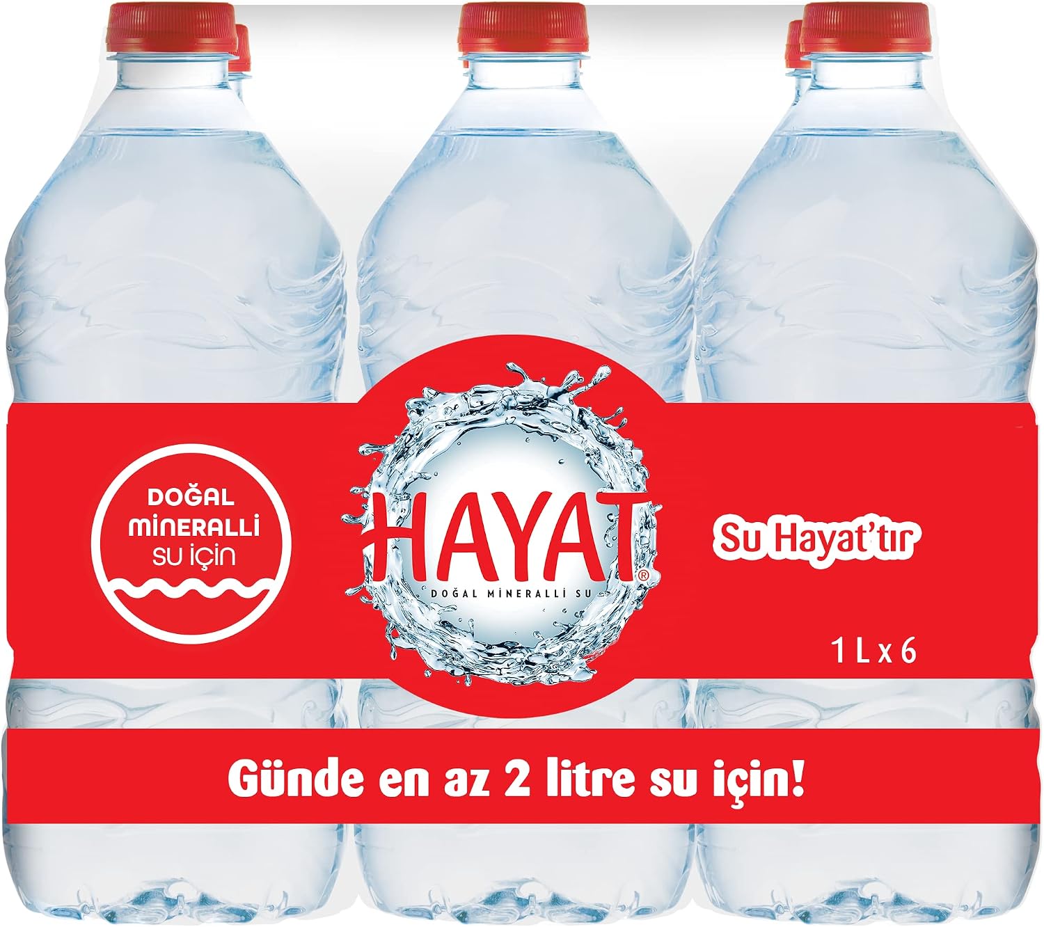 Hayat Doğal Mineralli Su 6x1 L