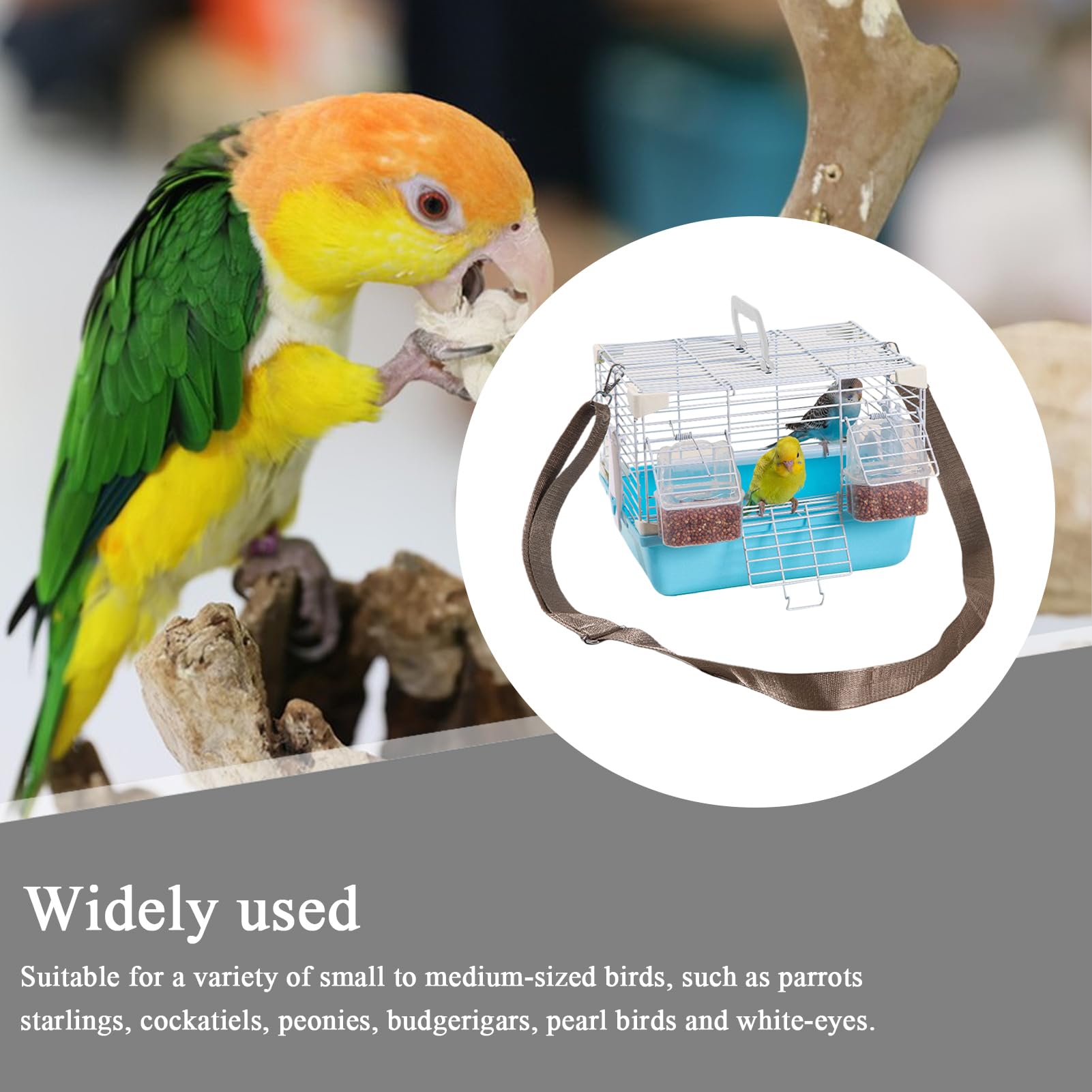 Gabbia per Uccelli - Trasportino Portatile Per Cocorite - Resistenti Per Piccoli Animali Ideali Per Calopsite, Pappagallini E Munia Perlati
