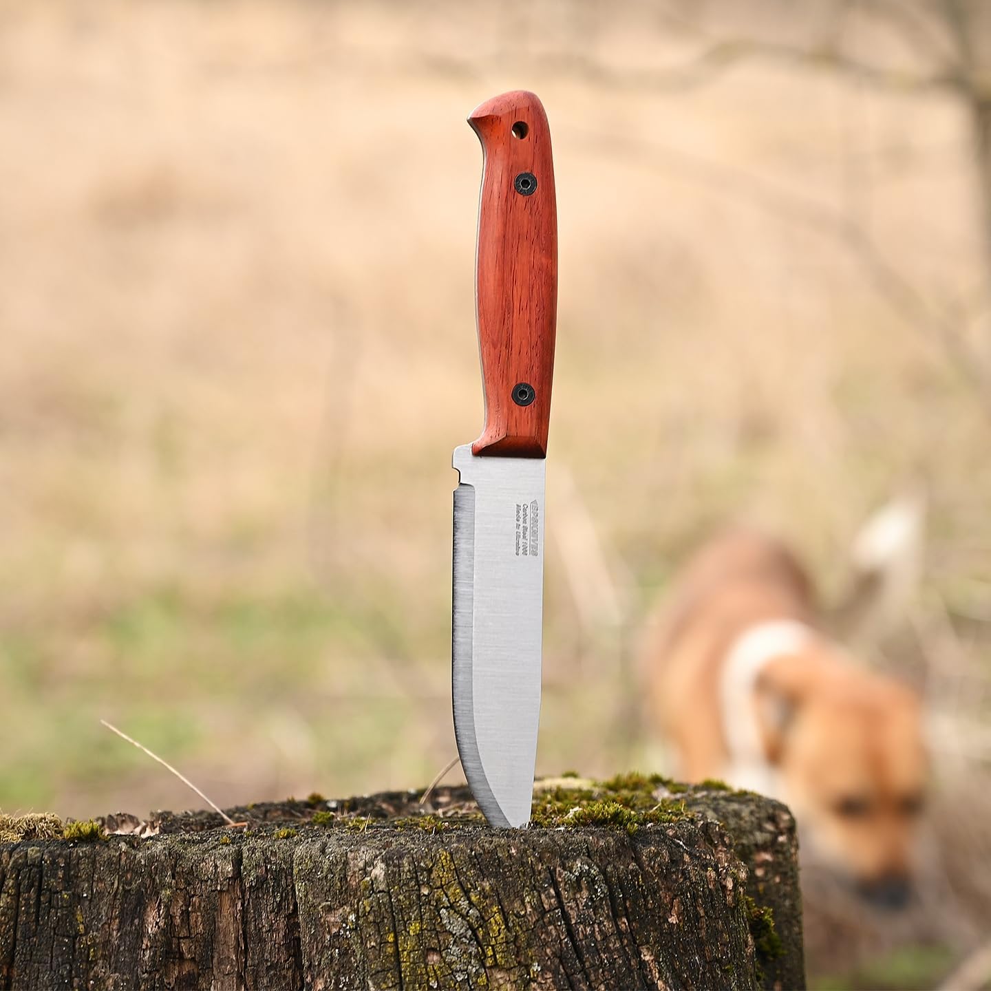 BPSKNIVES Flamebird Adventurer - Fixed-Blade Carbon Steel Bushcraft Knife with Leather Sheath - Outdoor Full Tang Utility Knives - Camping Knives - Survival Tactical Camp Knife