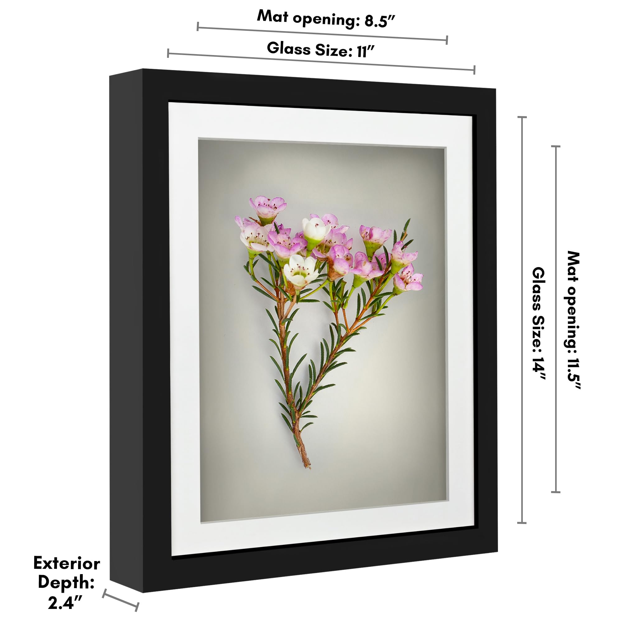 Frames Americanflat 11x14 Frame - Shatter-Resistant Glass Display Case ...