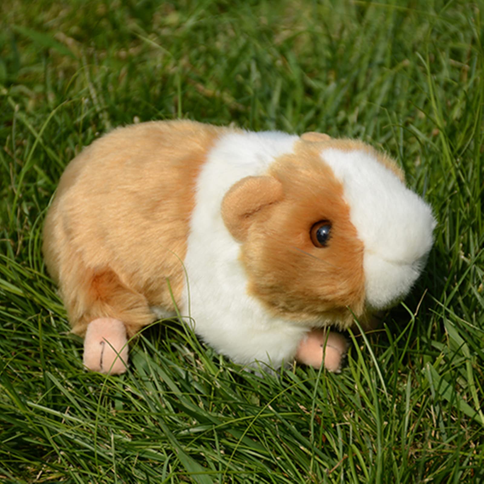 Amazon.co.jp: DUBFKBSH ぬいぐるみモルモット動物おもちゃ