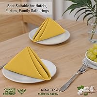 Vista 7 de Ruvanti Juego de 6 servilletas de tela, 18 x 18 pulgadas, 100% algodón, lavables, suaves y absorbentes, perfectas para bodas, Navidad, cenas