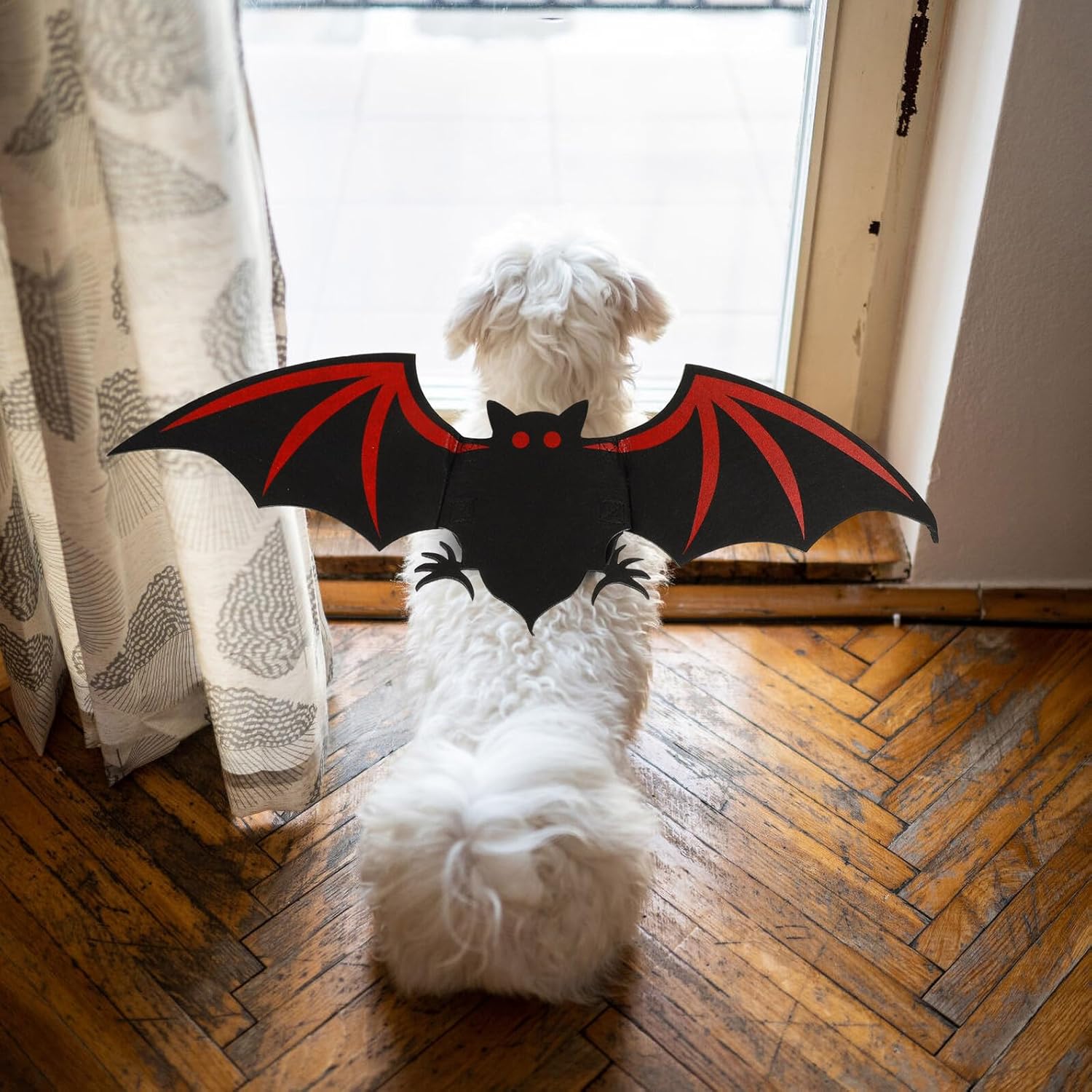 Halloween Pet Bat Wing Costume for Dogs and Cats, Lightweight Bat Decor Prop for Halloween Party Photo, Red Printed Pet Dress-up Accessory