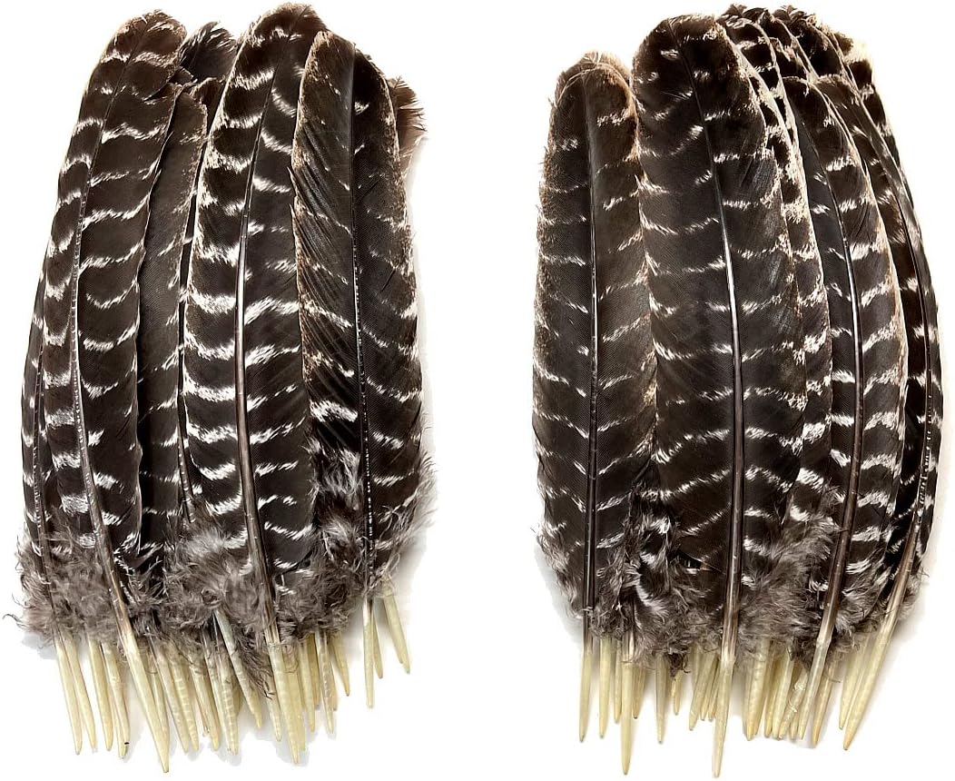Barred Turkey Rounds (Secondary Wing Feathers) (Natural)