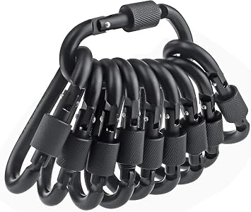 10 Pack 2.3Inch Aluminum D Ring Key Rings Hiking Clips Locking Carabiner for Hiking Camping Fishing and Outdoor Use,Clips with Screw Gate Multicolored