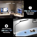 EYOCEAN Lampe de bureau à double tête à pince - 24 W - 80 cm - Lampe lumière du jour de bureau avec télécommande - Lampe de moniteur à intensité variable - Col de cygne - Protection des yeux, Noir - 6