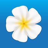 the seminyak beach resort & spa villa - Ideas for Day Trips and Adventures