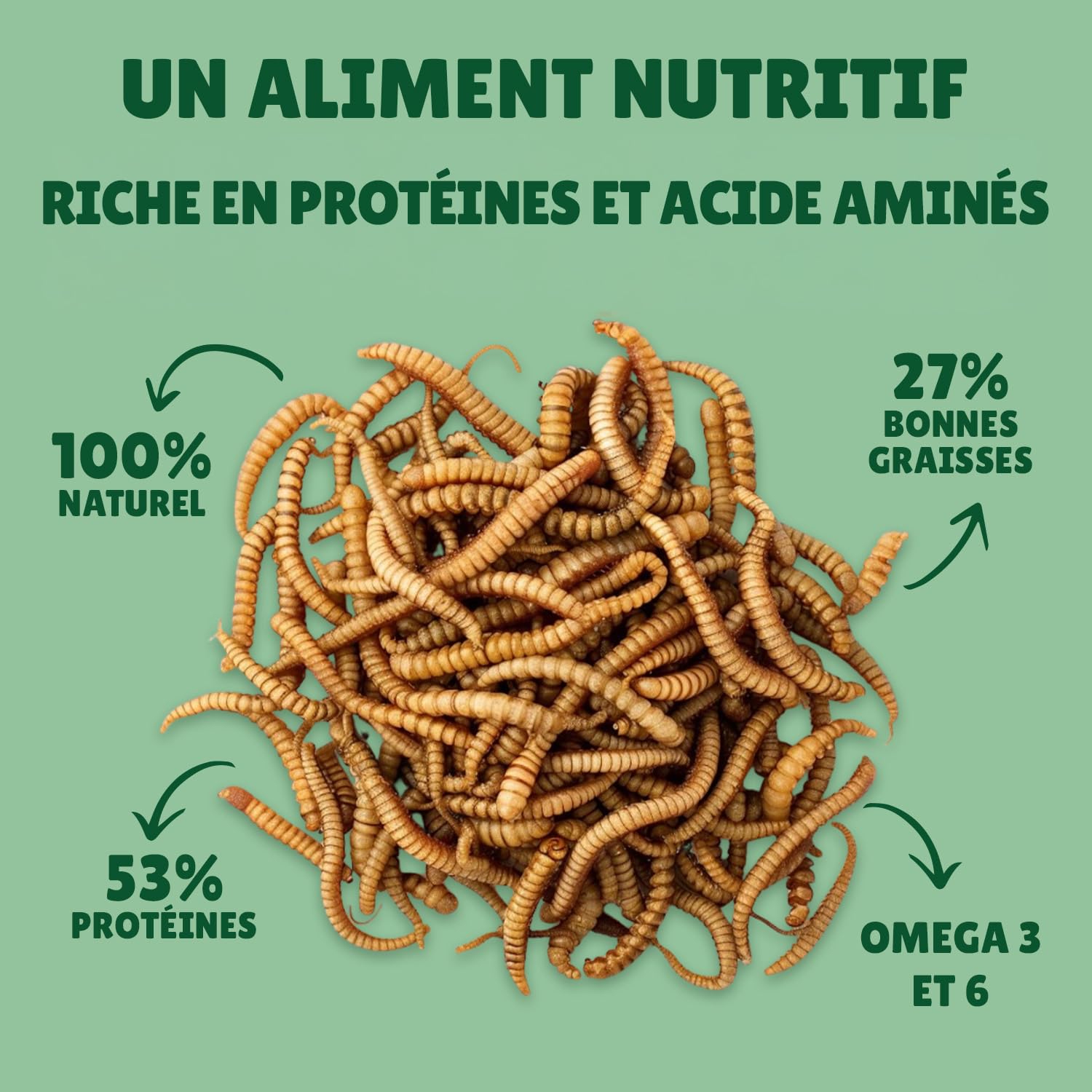 vers de Farine séchés 10kg Au Comptoir de Noé, 100% Naturel, Riches en Protéines et Bonnes Graisses, Alimentation pour Poissons, Oiseaux Sauvages, Tortues, Hérissons, Rongeurs et Reptiles