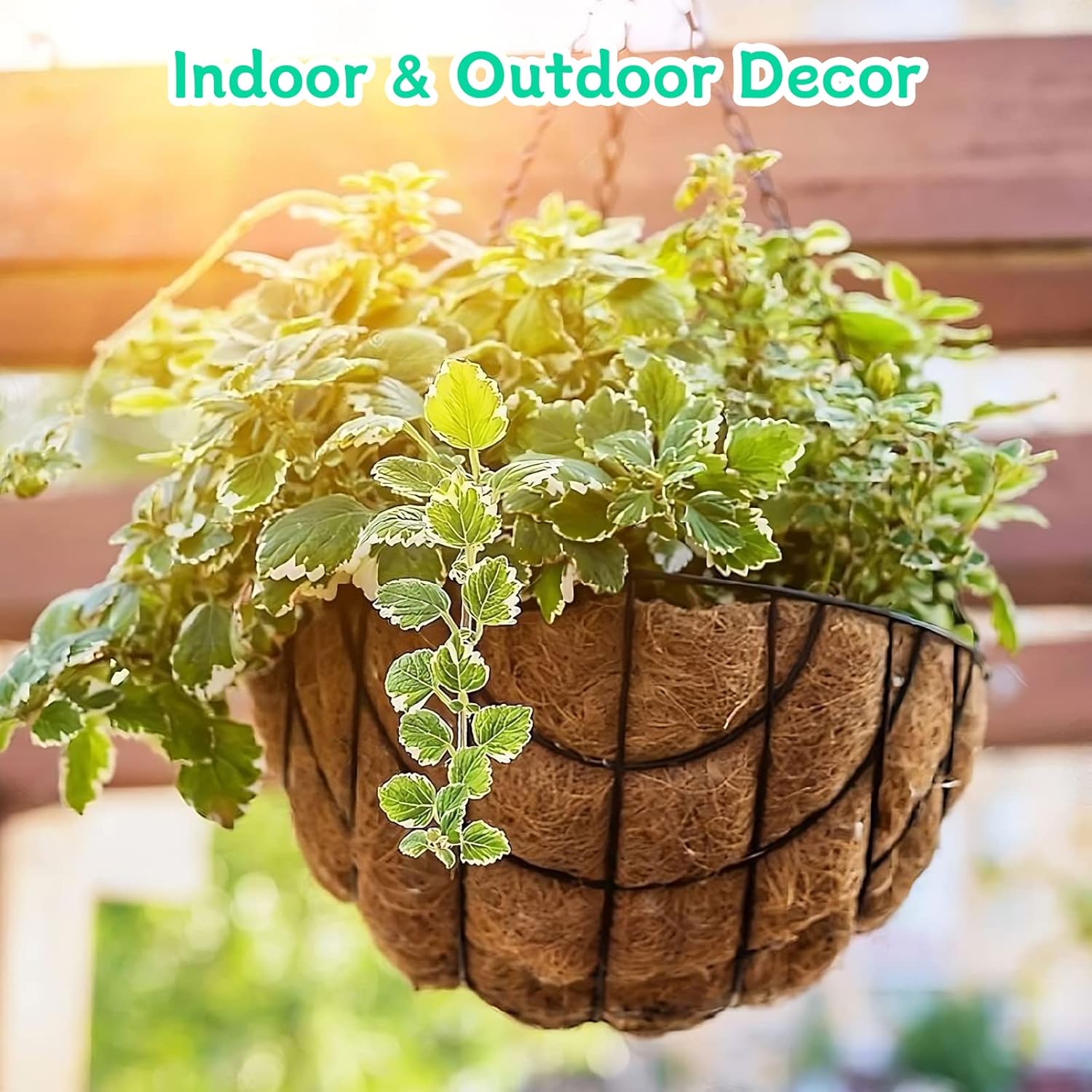 Riare 2 Pack 20 Inch Round Coco Liners Replacement- 100% Natural Coconut Coir Liners for Hanging Baskets, Garden Flower Vegetables Planter Pot, Window Box, Fence, Decks