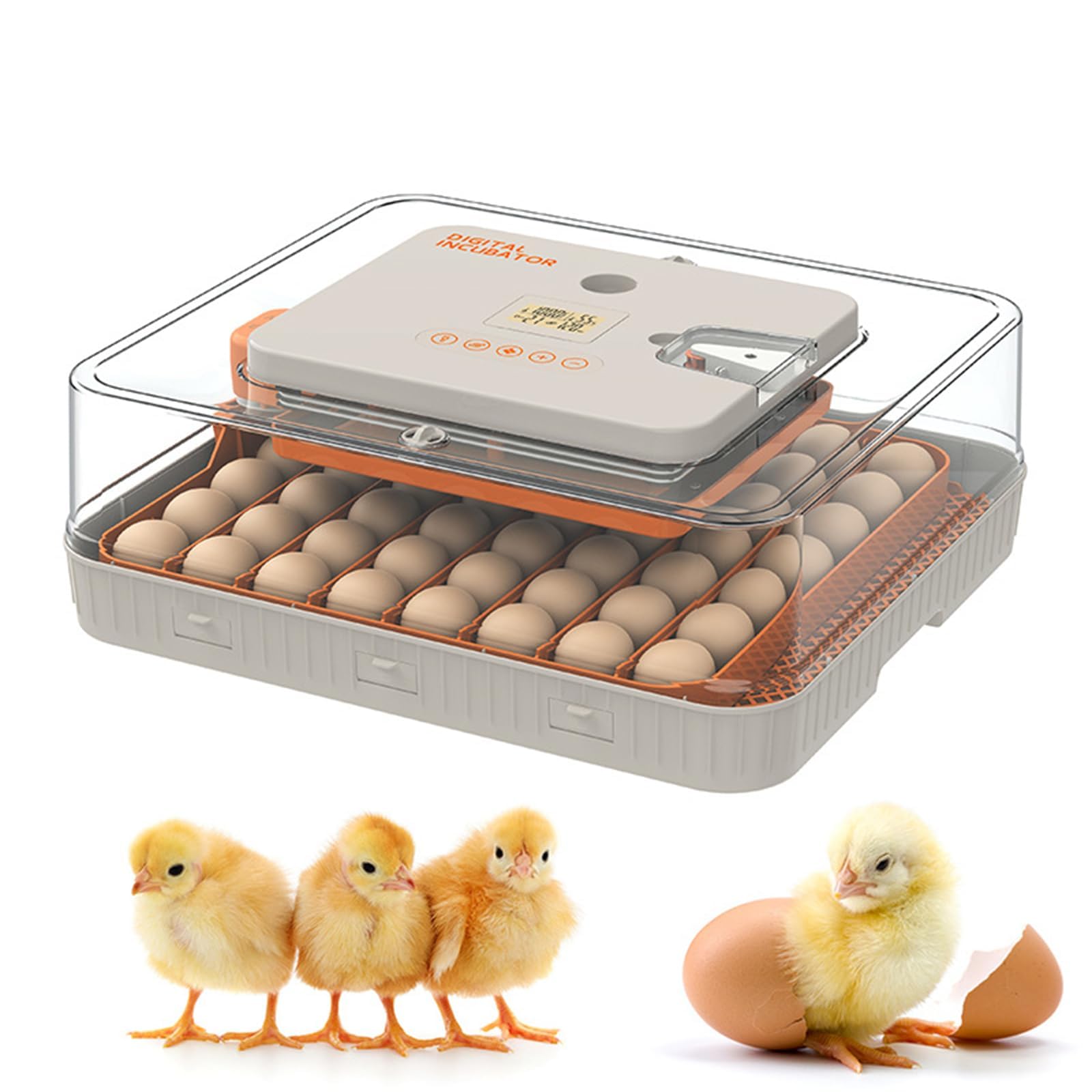 Incubadora de huevos para incubar huevos, volteador automático de huevos y control de humedad, ajuste de temperatura, para codornices de pollo, pato, escuela de granja