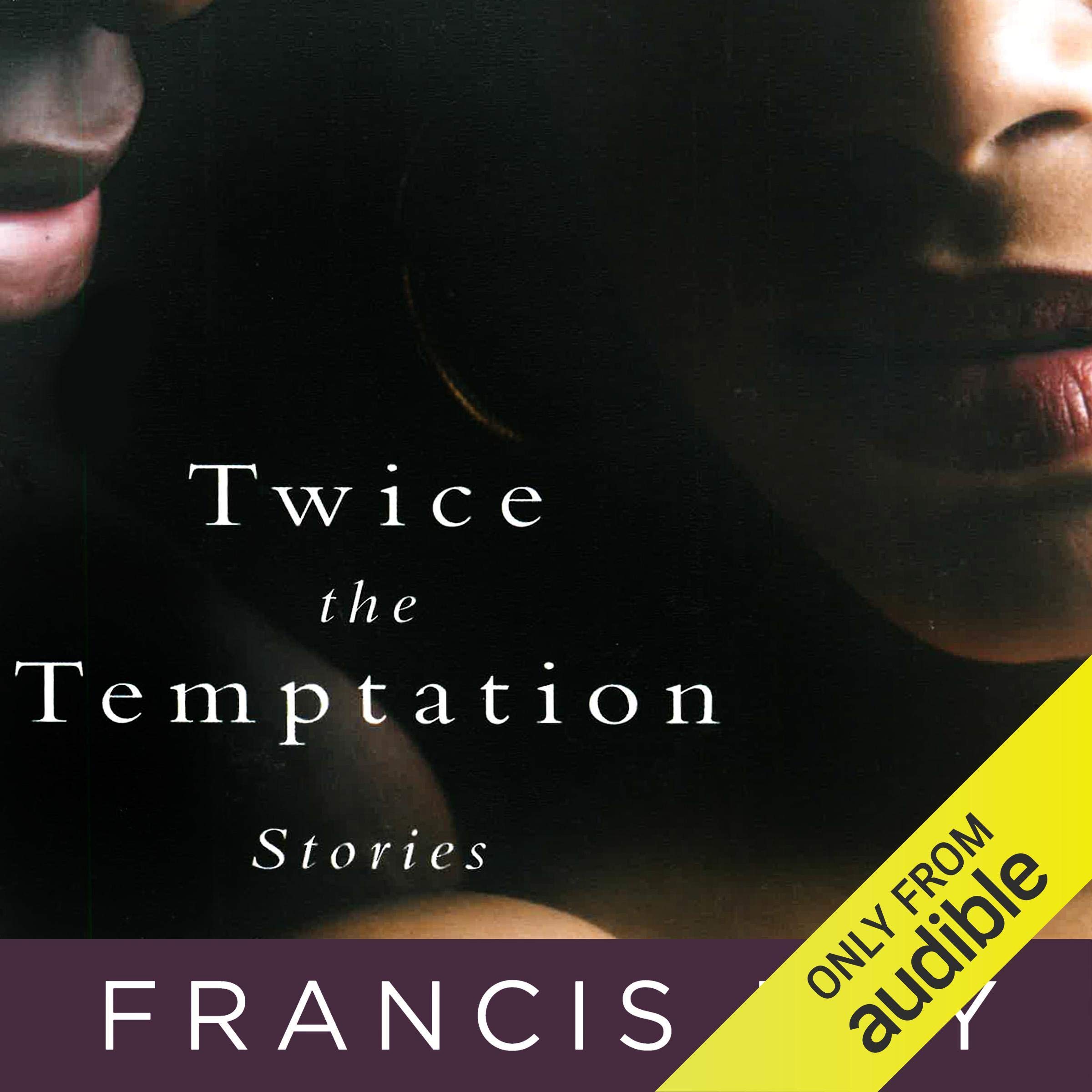 Cover art for Twice the Temptation
