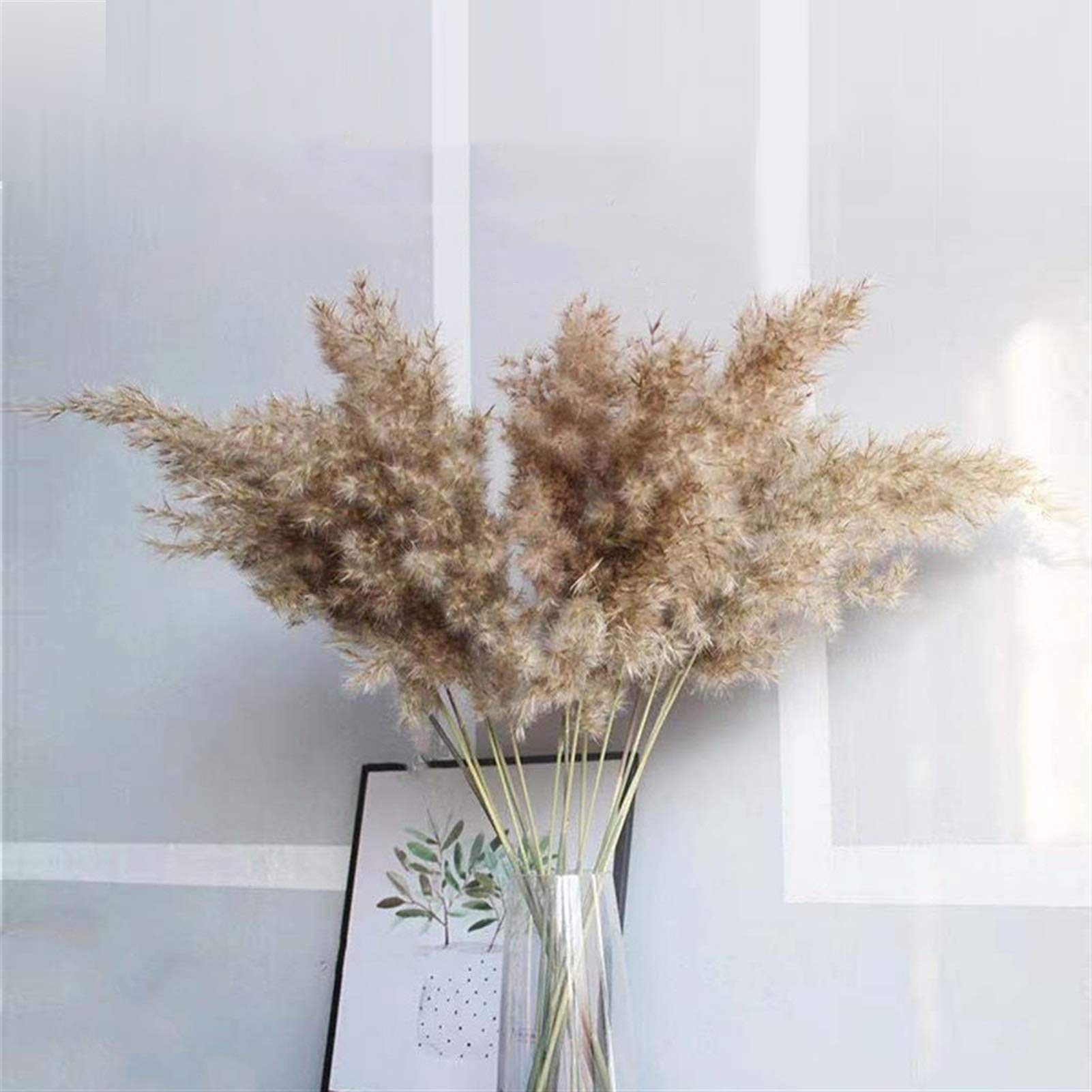 15 Pampas Secche Naturali - Piume Decorative Per Vasi, Matrimoni, Casa E Hotel - Lunghezza 20-30 Cm