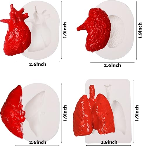 Miniatura 2 de Moldes de silicona para órganos humanos, 8 unidades para Halloween, corazón, cerebro, hígado, estómago intestinal, moldes de fondant de chocolate