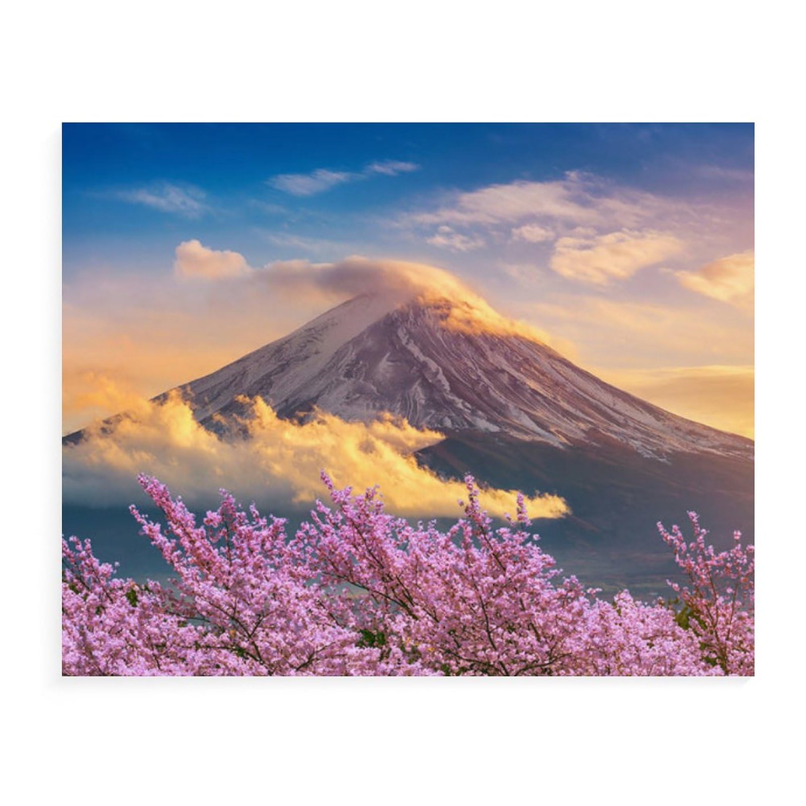 Amazon | 富士山の桜 数字油絵 日本のルネッサンスのサイケデリックな