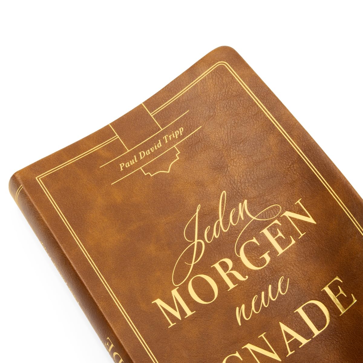 Jeden Morgen neue Gnade: Tägliche Andachten mit dem Evangelium im Zentrum