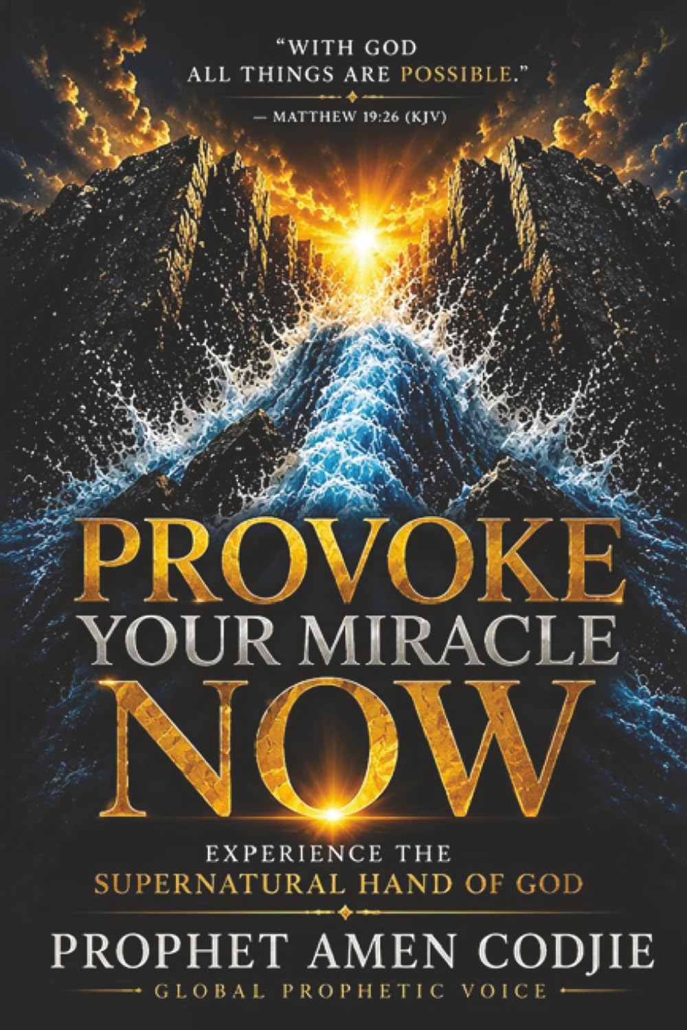 Provoke Your Miracle Now: Awaken Expectation, Activate Faith, and Step Into Divine Healing, Restoration, Breakthrough, and Supernatural Possibilities