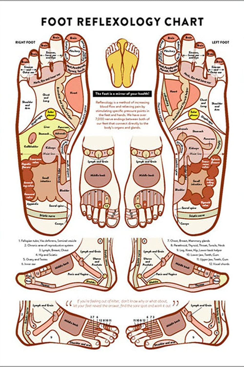 Massage Therapist Knowledge Metal Signs Vintage Office Decor Foot Reflexology Chart Tin Poster Home Club Hospital Wall Decoration Plaque 8x12 Inches