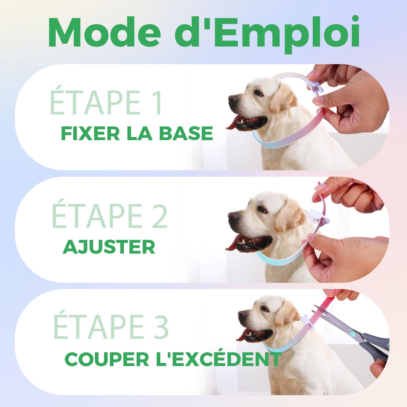 Collier Anti-Parasites pour Chien, Protection Continue 8 Mois, Anti-Puces & Anti-Tiques, Réglable 69cm, Résistant à l'eau