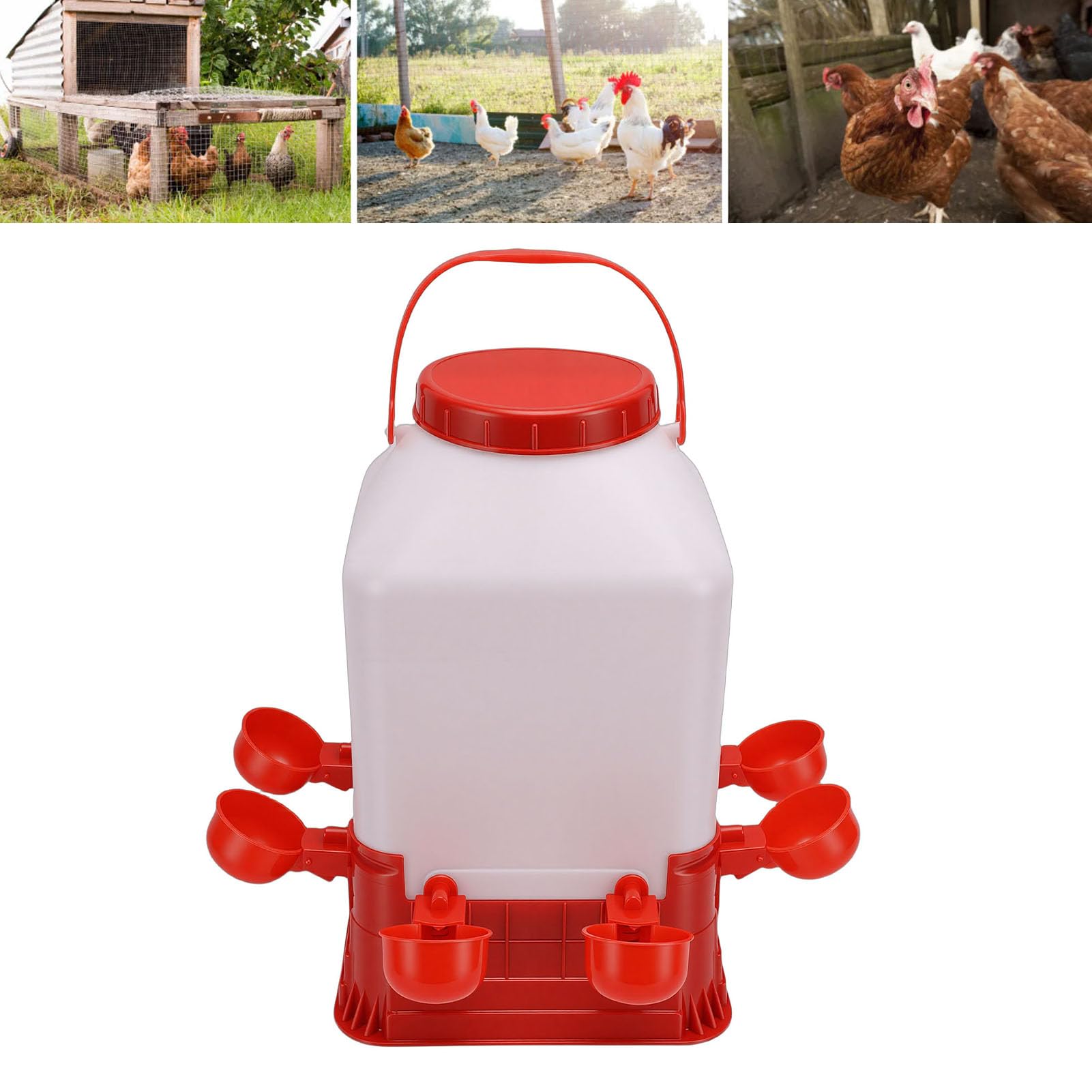 Abbeveratoio per Polli, Abbeveratoio Automatico per Polli da 10 Litri per Pollame in Plastica con Design Facile da Pulire per Anatre, Tacchini