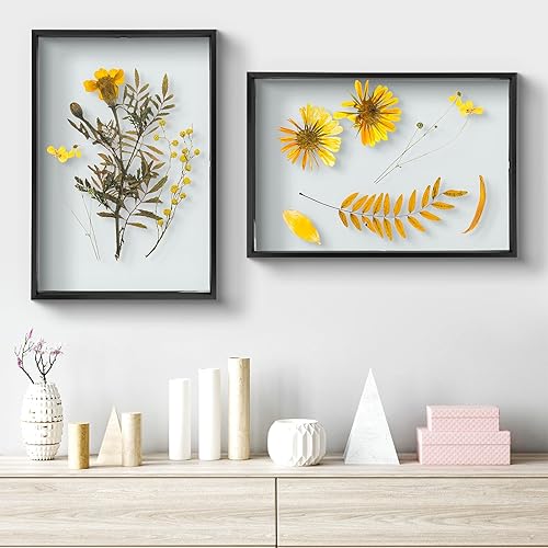 Vista 59 de Frametory, Marco de fotos flotante de 16 x 20 pulgadas, marco de fotos de metal, cristal real, para montaje en pared o mesa (negro, paquete de 2)