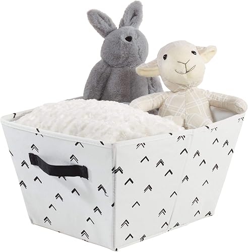 iDesign - Canasta de tela Flecha,Punto azul,Punto Coral,Punto gris,estrella,Punto verde azulado,Flecha Multi,https://www.amazon.com/dp/undefined