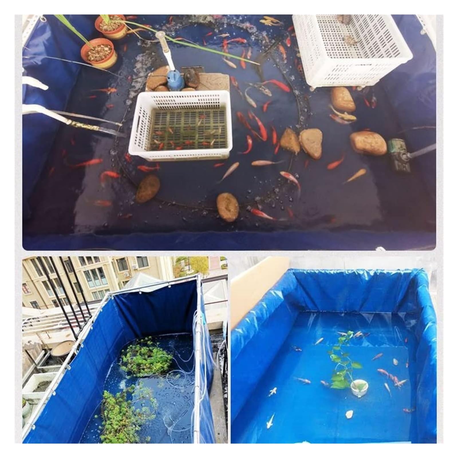 Serbatoio portatile per laghetti per pesci, in tela resistente, per allevamento di carpe koi, piscina per irrigazione da giardino, 0,8 x 1,5 x 0,5 m