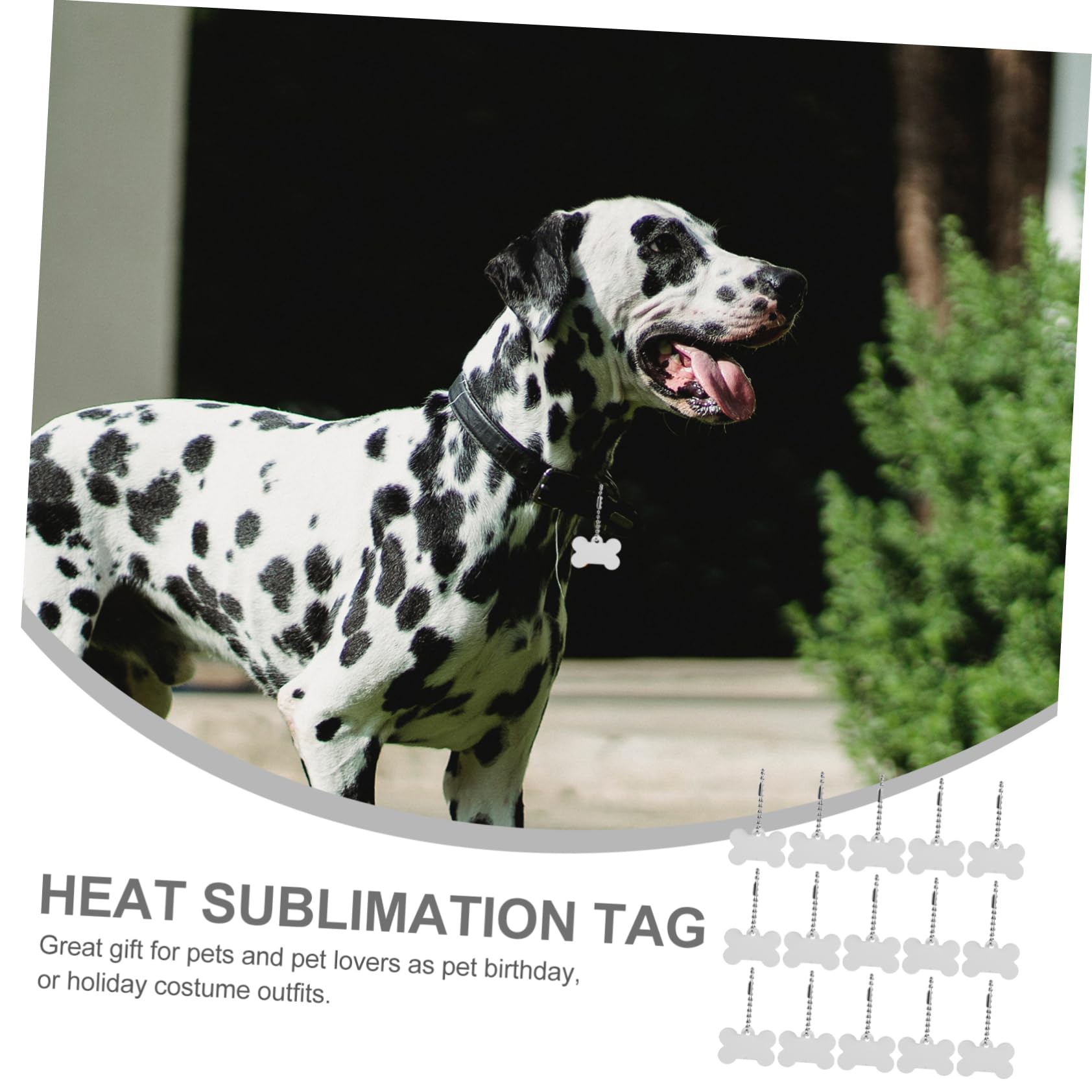 SOIMISS 4 Sätze Farbsublimationsetikett Sublimations-erkennungsmarken Rechteckig Sublimations-hundenamensschild Namensschilder Für Hunde Hundemarke Leer Aluminiumlegierung 20 Stück * 4