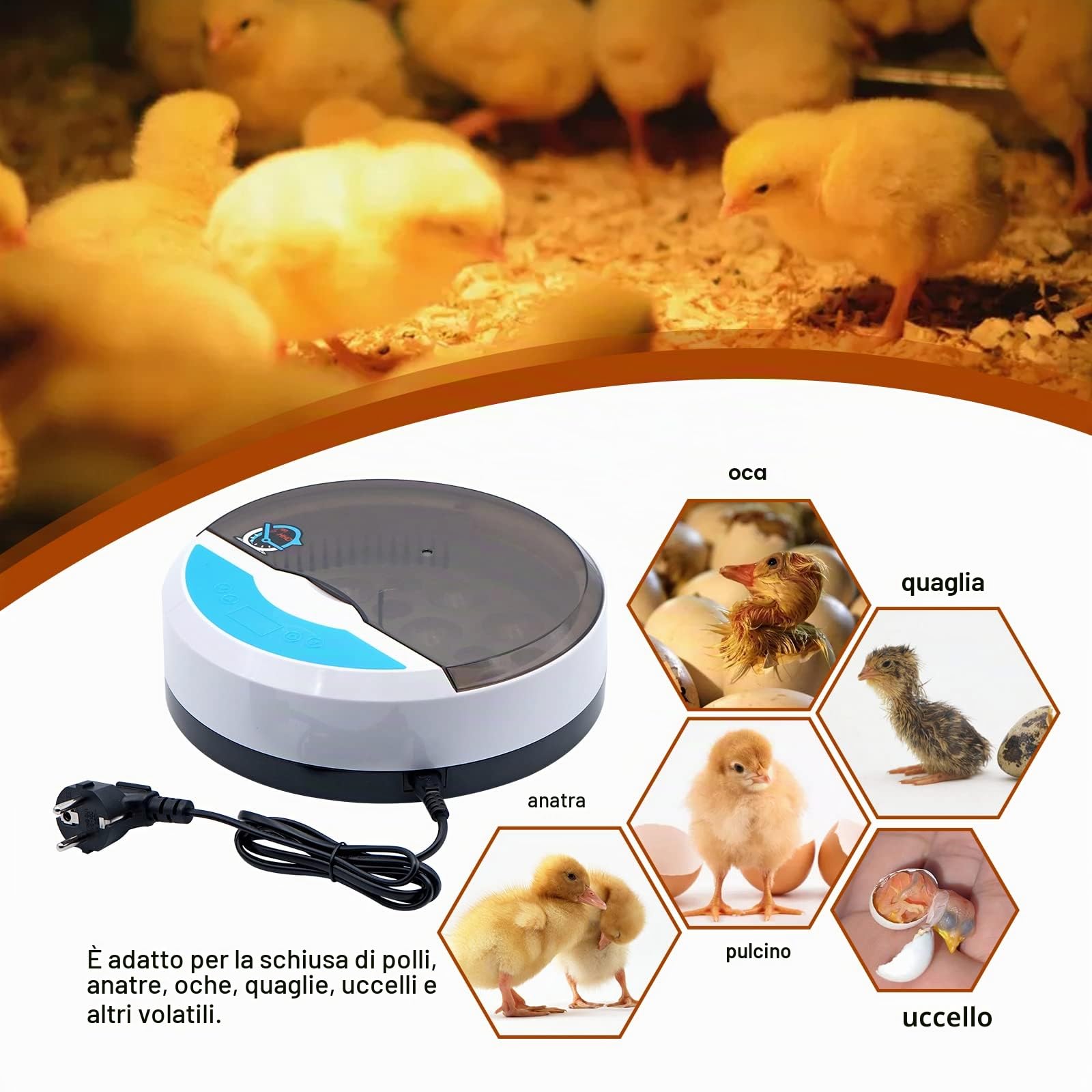 9 uova Mini incubatrice digitale LED Incubatrice completamente automatica Incubatrice per pollame Incubatrice per polli Anatre Oche Uccelli Quaglie