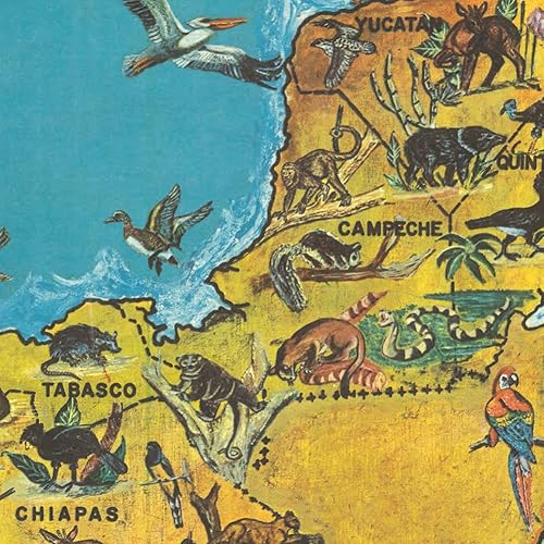 Miniatura 8 de Mapa pictorial de los Estados Unidos Mexicanos alrededor de 1966 | Ilustrado con fauna y especies de México | Póster de estilo vintage para