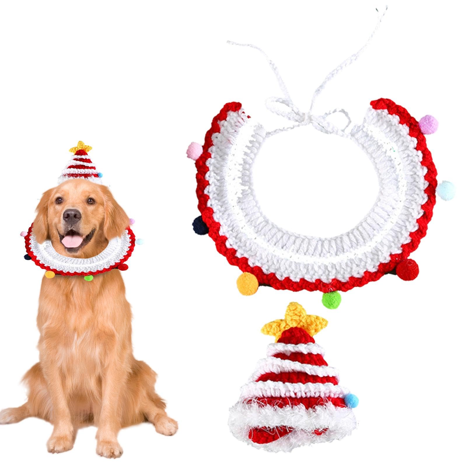Costume de Noël pour chien et chat avec chapeau de collier tricoté sous le sapin