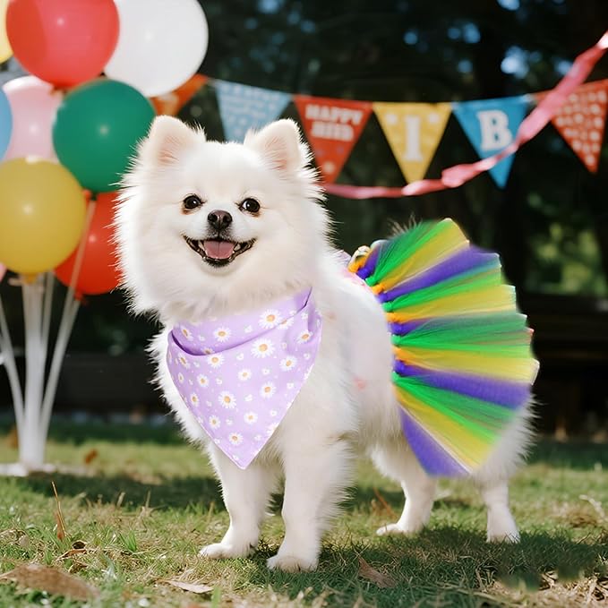 Disfraz de Mardi Gras para perro con falda de tul y pañuelo miniatura 7