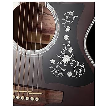 Takamine T-F0ANアコースティックギター CNB製 ギグバッグ 付き Takamine T-F0ANアコースティックギター CNB製 ギグバッグ 付き