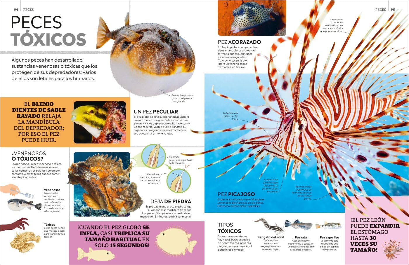 La superenciclopedia de los animales: Invertebrados | Peces | Anfibios | Reptiles | Mamíferos (Enciclopedia visual juvenil)