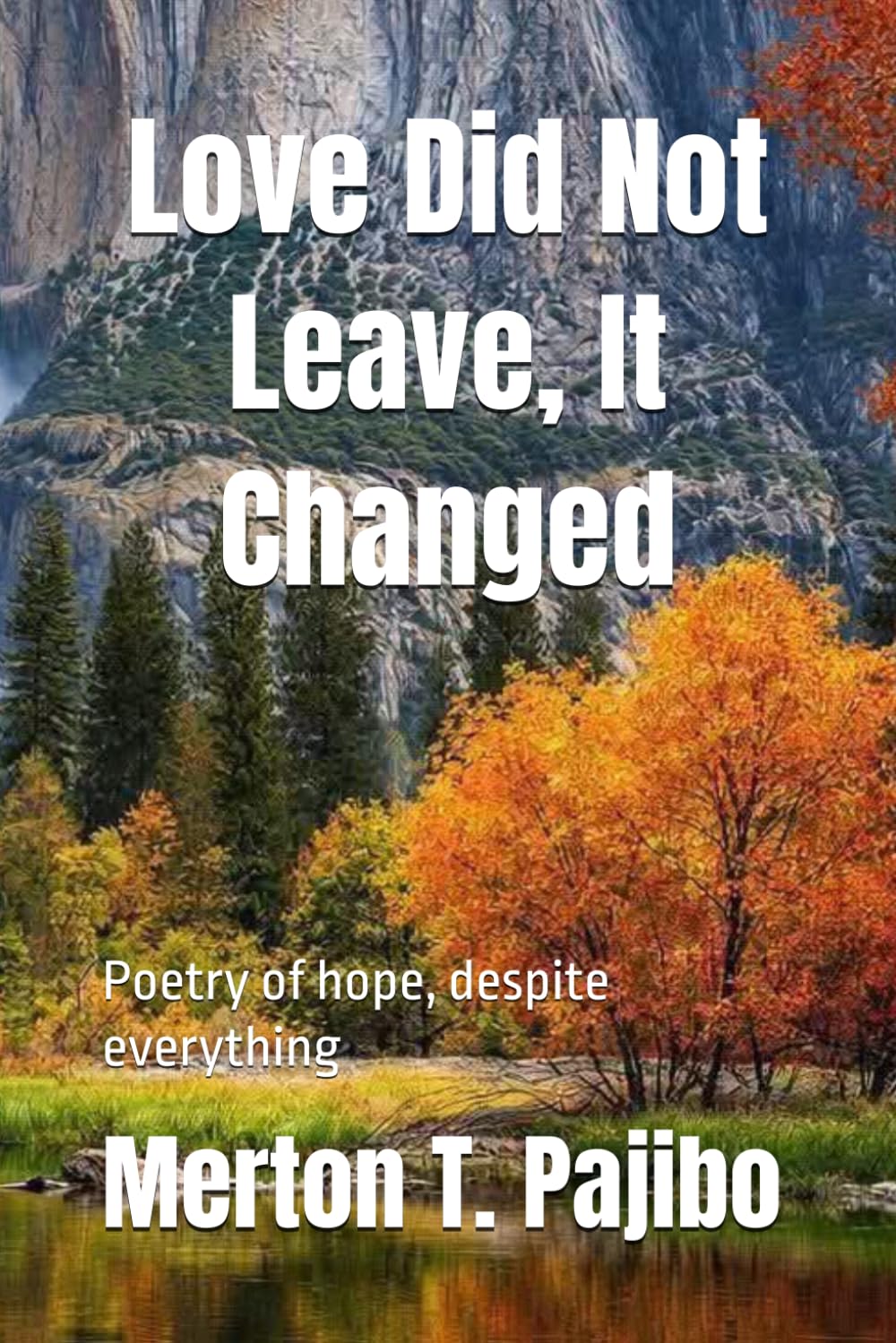 Love Did Not Leave, It Changed: Poetry of hope, despite everything