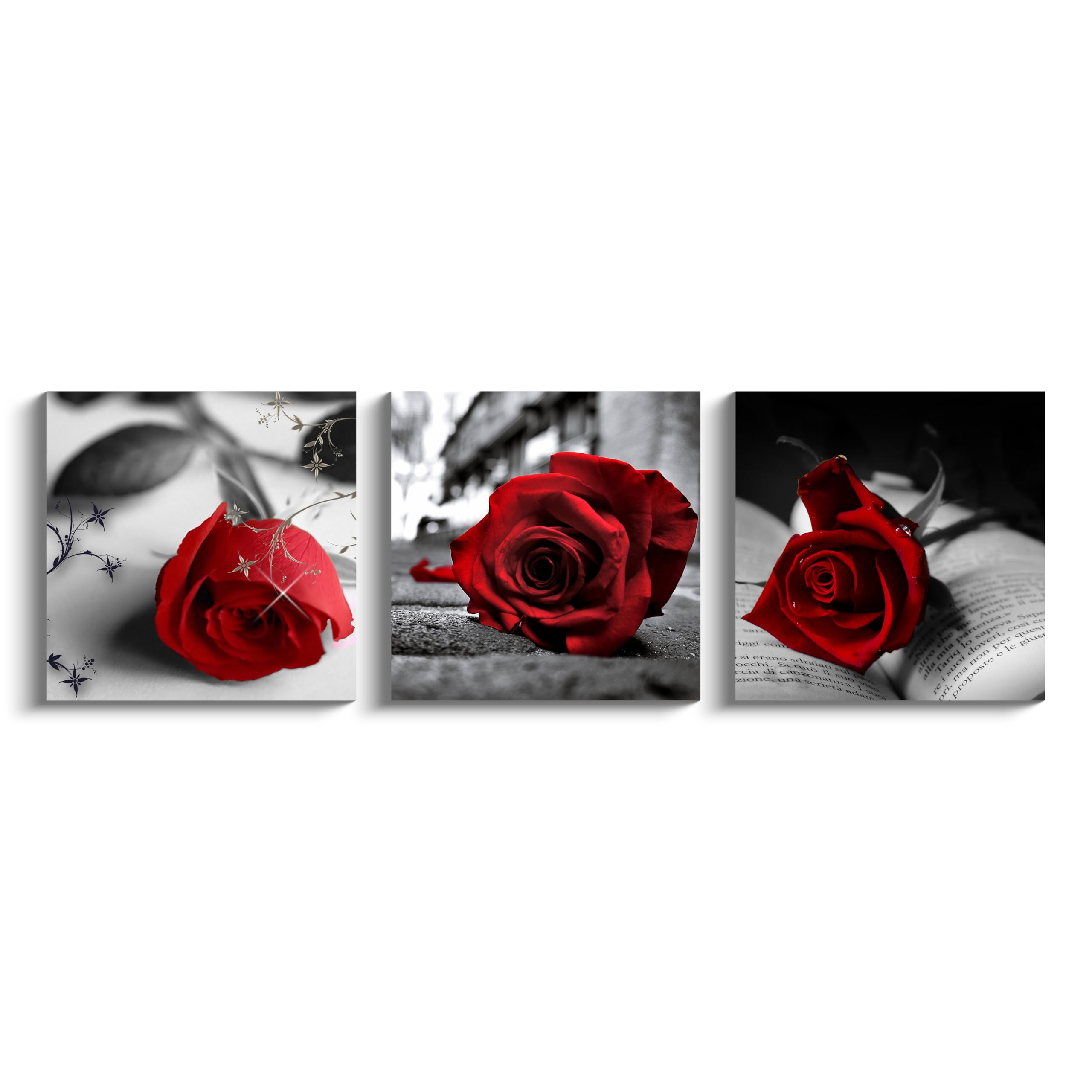 NAN Wind Lienzo impreso en lienzo de 3 piezas en blanco y negro, rojo, rosa, para decoración del hogar, estirado y enmarcado (16 x 16 x 3 unidades, A-Rose)