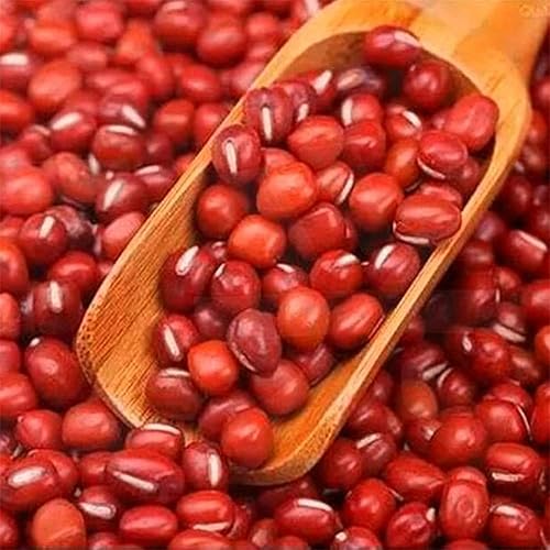 Miniatura 3 de 2 cucharas de madera, mini cucharas de bambú, cuchara de sal de madera pequeña, cucharas de especias para especias frijoles arroz harina de té de