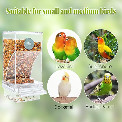 Miniatura 6 de Rypet Paquete de 2 comederos automáticos para pájaros sin ensuciar, jaula transparente transparente para comederos de loros acrílicos, accesorios