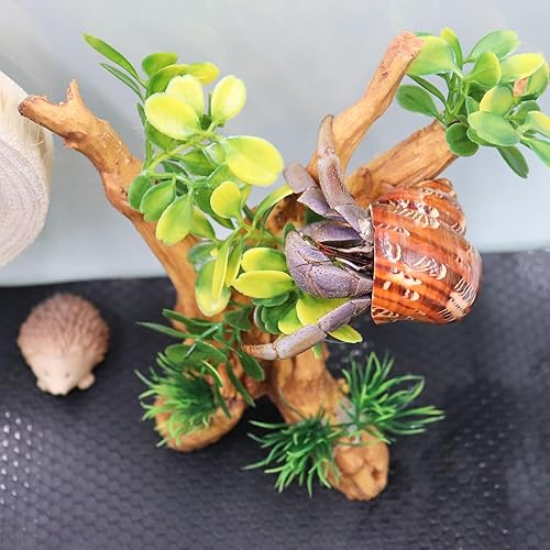 Miniatura 2 de Juguete de escalada de cangrejo ermitaño, cuevas de escondite de peces betta de acuario, adorno de tronco de árbol de resina, decoraciones de tanque